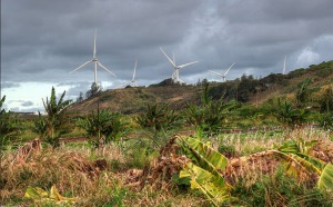 Wind turbines overlooking Waimea Valley